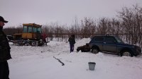 Охотники помогают лесным птицам