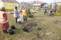 В Комрате ведутся работы по озеленению