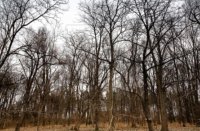 Погода значительно потеплеет