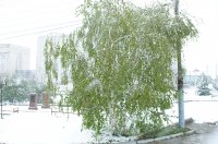 Апрель: Комрат в снегу (фоторепортаж)