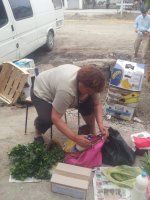 Рейд по уличной торговле в Комрате (фоторепортаж)