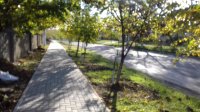 Завершается укладка тротуара на улице Шевченко (фоторепортаж)