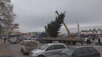 В Комрате установили новогоднюю елку. Завтра она будет наряжена! (фоторепортаж)