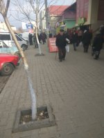 Работа специалистов примэрии Комрата по ликвидации уличной торговли (фоторепортаж)